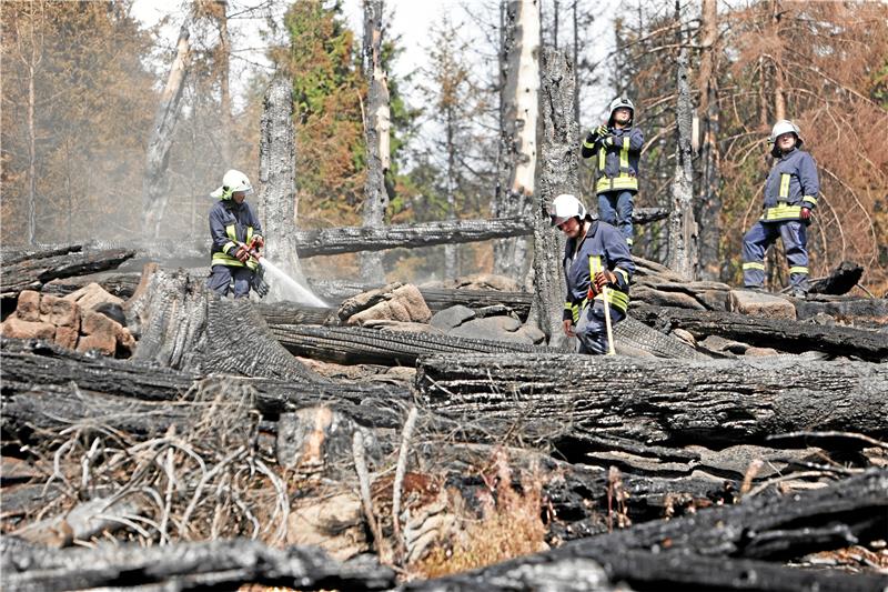 Harz: Polnisches Löschflugzeug soll Brandbekämpfung unterstützen Anfang September: Helfer der Feuerwehr im Einsatzgebiet am Brocken. Archivfoto: Neuendorf