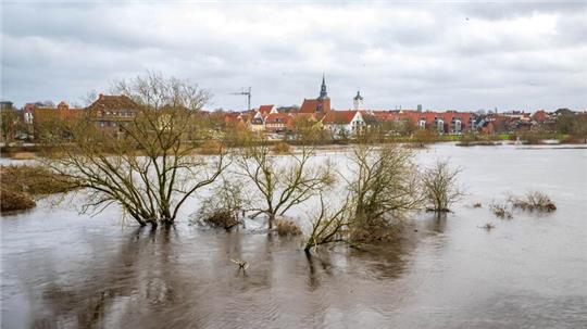 Angeschwemmter Plastikmüll hat nach dem Winterhochwasser die Aufräumarbeiten erschwert. (Archivbild)