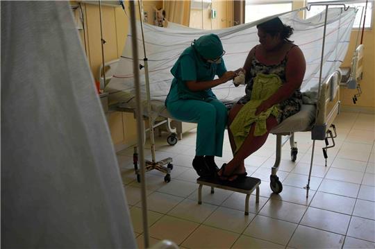 Angesichts der massiven Ausbreitungen des Dengue-Fiebers hat die peruanische Regierung für den Großteil des südamerikanischen Landes den Notstand erklärt.