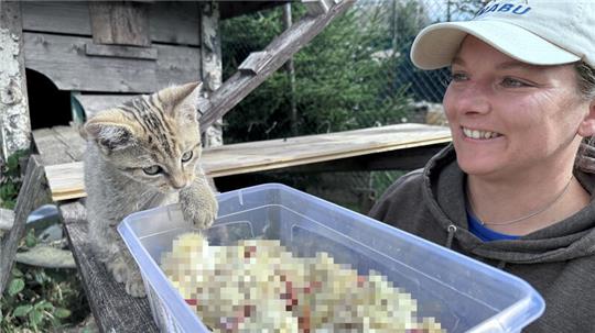 Annett Jerke füttert Monti mit Küken und Mäusen. Der Kleine sucht sich die leckersten selber aus.