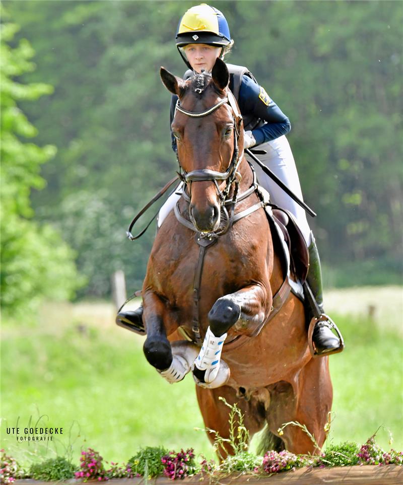 Starke Ausbeute für die Pferdesportregion Anni Müller nimmt mit Finest Franky nun am Bundeschampionat in Warendorf teil. Foto: Gödecke