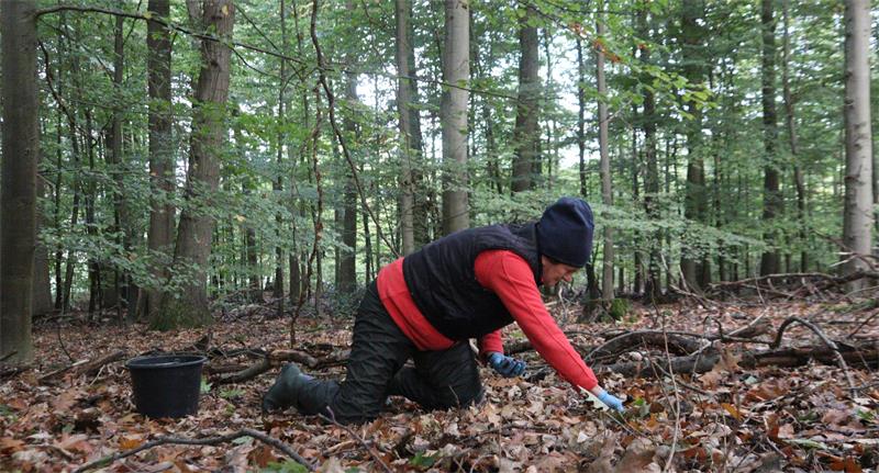 Eine Frau kriecht über einen Waldboden.