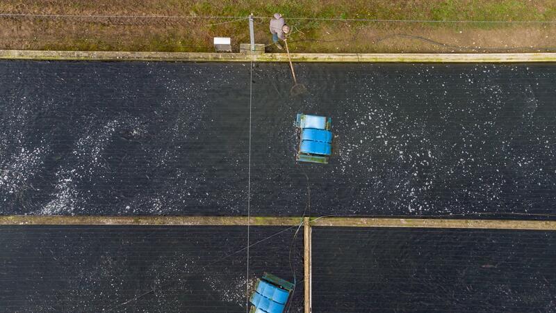 Fischer besorgt: Windparks verkleinern Fanggebiete Aquakulturen