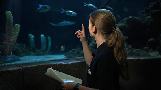 Aquaristin Lisa Winkelgrund zählt die Tiere im Becken.
