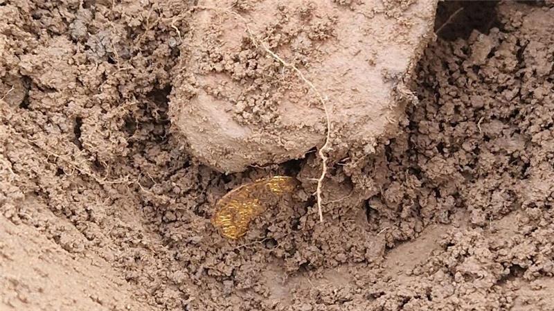 Archäologen entdeckten danach weitere Münzen an der Fundstelle. (Handout)
