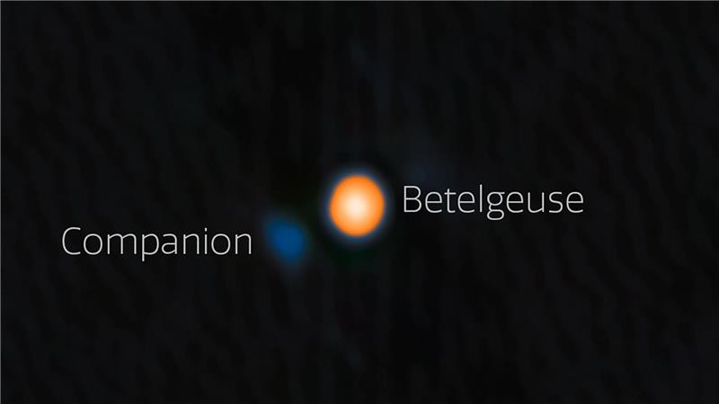 Astronomen haben wahrscheinlich einen Begleitstern von Beteigeuze (englisch: Betelgeuse) entdeckt. Der Begleitstern erscheint hier blau.