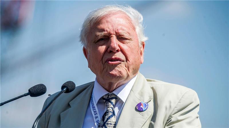 Britisches Urgestein: David Attenborough ist 100 Attenboroughs Dokus setzten neue Standards für Naturfilme. (Archivbild)