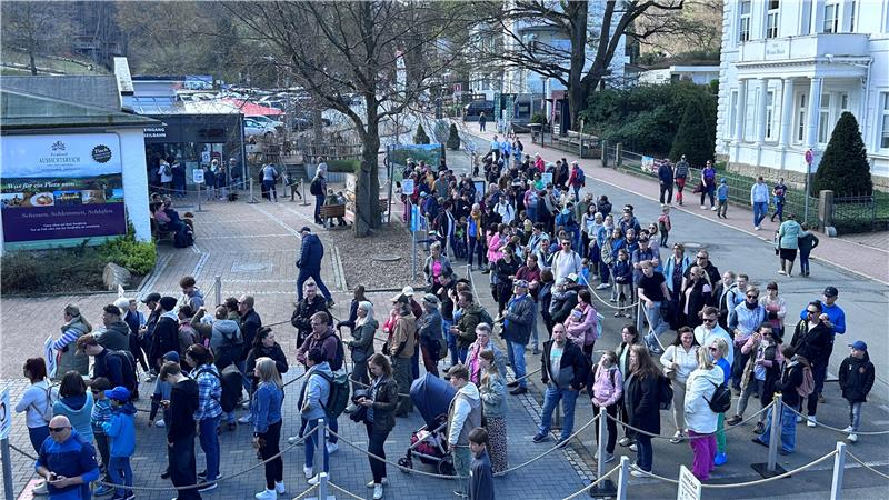 Auch 2025 bilden sich vor den Kassen am Baumwipfelpfad lange Schlangen, allerdings hat sich die Lage aus verschiedenen Gründen entspannt. 