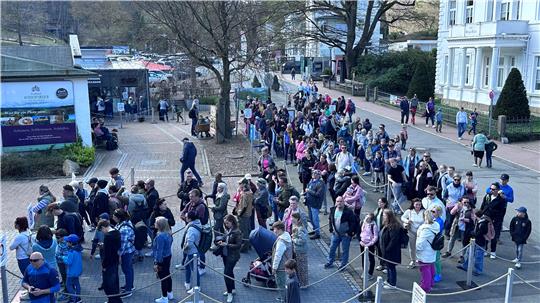 Auch 2025 bilden sich vor den Kassen am Baumwipfelpfad lange Schlangen, allerdings hat sich die Lage aus verschiedenen Gründen entspannt. 