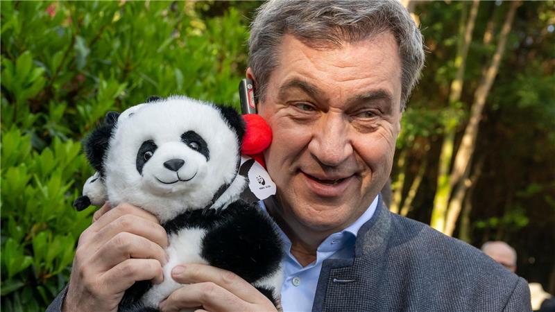 Auch Bayerns Ministerpräsident Markus Söder (r.) hat Gefallen an Pandas gefunden. (Archivbild)