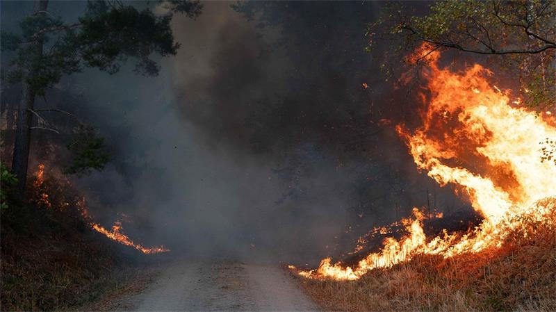 Auch Deutschland hat in diesem Sommer verheerende Waldbrände erlebt – wie hier im Hürtgenwald in Nordrhein-Westfalen.