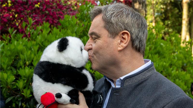 Auch Ministerpräsident Markus Söder (CSU) hat Gefallen an Pandas gefunden. (Archivbild)