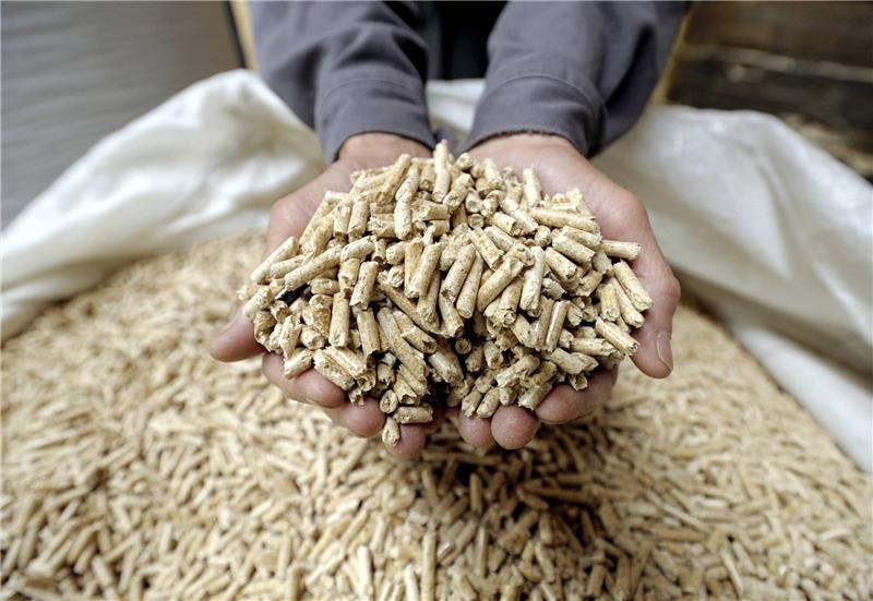 Auch Pellets sind im Preis gestiegen. Foto: imago stock