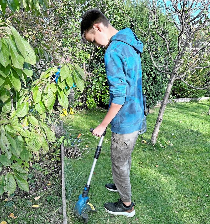 Auch Rasenkanten müssen regelmäßig geschnitten werden. Foto: Schlegel