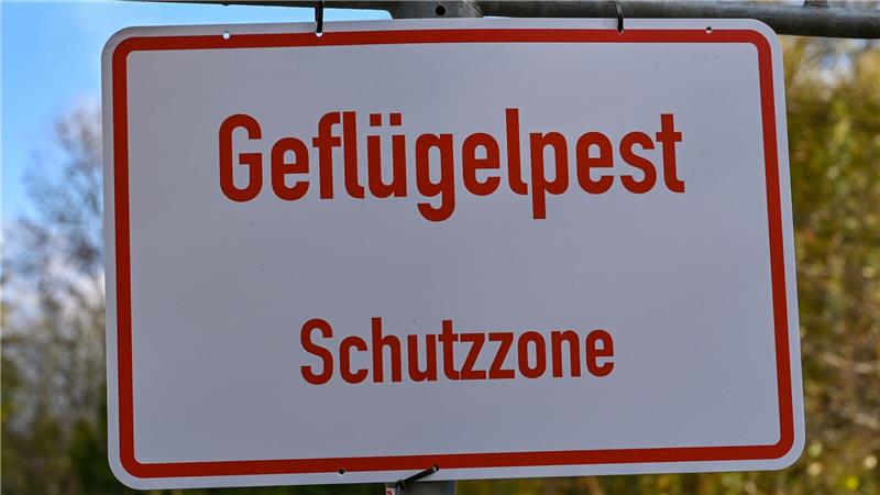 Auch Teile des Landkreises Leer sind nach dem Ausbruch der Geflügelpest  in der Gemeinde Saterland zur Überwachungszone erklärt worden. (Symbolbild)