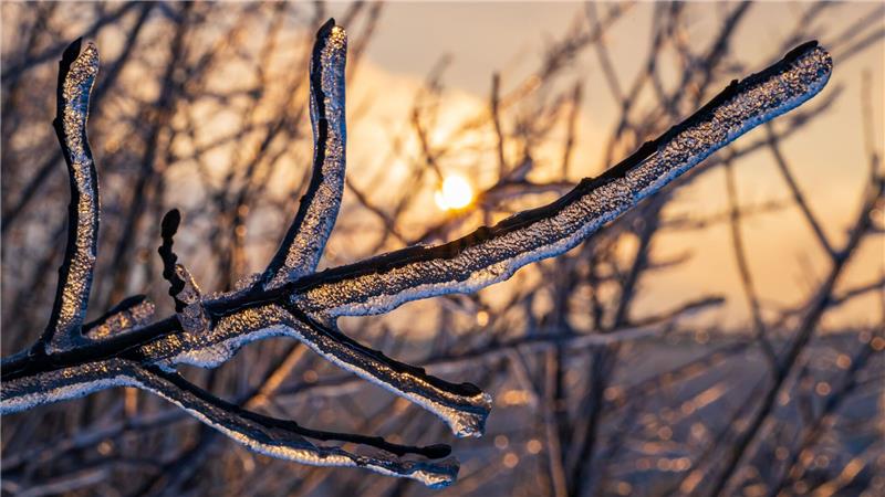 Auch am Mittwoch müssen sich die Menschen in Teilen Deutschlands auf winterliche Verhältnisse mit Regen und Schnee einstellen.