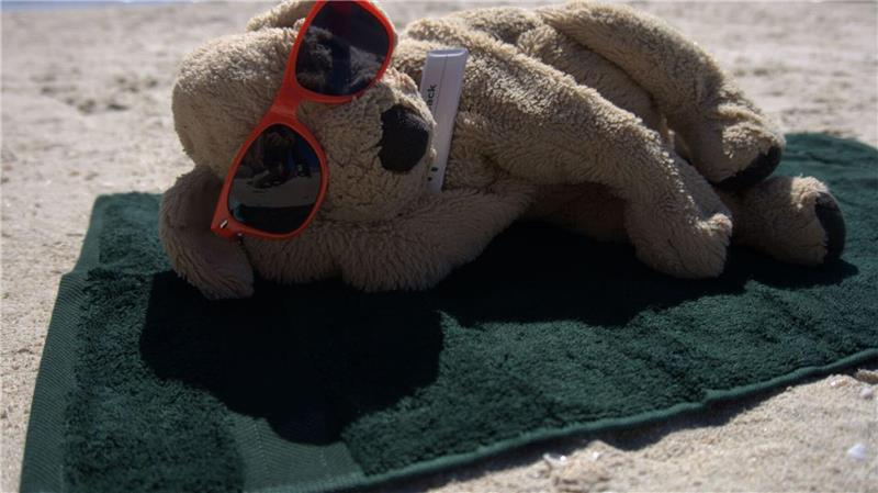 Vergessener Plüschhund Jack wird Internetstar in Australien Auch am Strand durfte sich Jack schon sonnen.