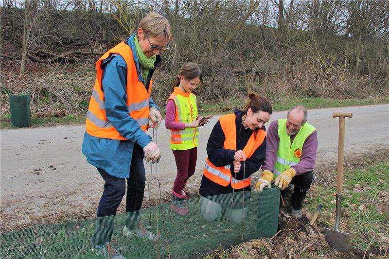Vier Personen mit Warnwesten arbeiten gemeinsam an einem grünen Drahtgitter neben einem Weg im Freien.