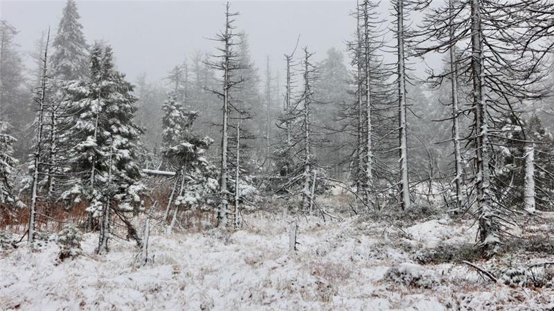 Tief „Quiteria“ bringt Sturmböen und Schnee Auch auf dem Brocken hat es geschneit. (Foto Aktuell vom 17.11.)