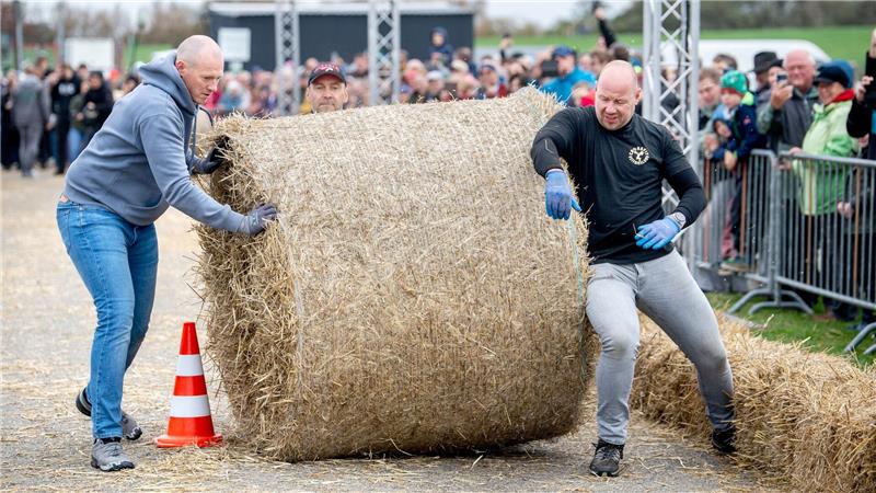 In Ostfriesland werden „Strohballen-Rollmeister“ gesucht Auch auf einer Slalomstrecke müssen sich die Teams bei der Strohballen-Rollmeisterschaft bewähren.