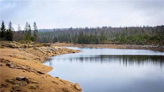 Auch der historische Stausee Oderteich ist Teil der Oberharzer Wasserwirtschaft. (Archivbild)