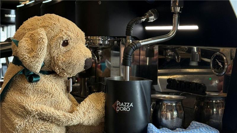 Vergessener Plüschhund Jack wird Internetstar in Australien Auch die Espresso-Maschine weiß Jack bereits zu bedienen, sagt die Belegschaft.