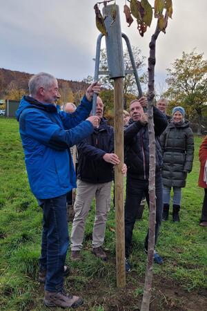Auch die Gäste packen mit an, um den Stützpfosten zu versenken, hier Bürgermeister Ralf Abrahms (v.l.), Ratsherr Lutz Römer (Grüne) und Erster Stadtrat Andreas Simon.