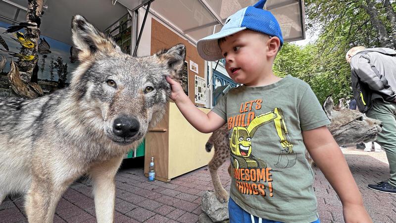 Nächste Großveranstaltung in Bad Harzburg: Öko-Markt am Sonntag Auch die Jägerschaft ist wieder dabei – natürlich nicht mit echten Wölfen, sondern nur Tierpräparaten.