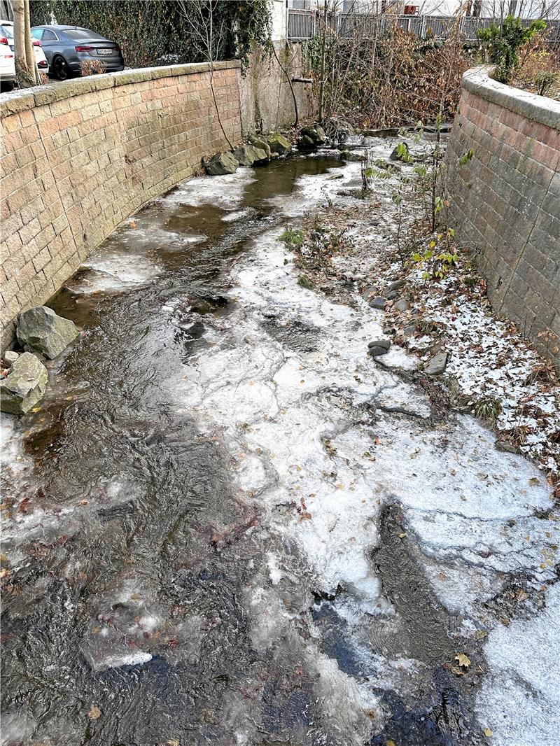 Auch die Radau friert langsam zu, aber noch sind die Eismassen nicht dermaßen mächtig, dass sie zu einer Gefahr werden könnten.