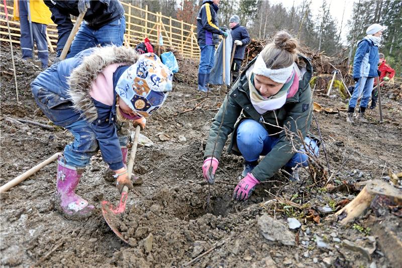 500 neue Bergulmen an der Wolfshäger Schäderbaude gepflanzt Auch die jüngsten Waldfreunde waren eifrig bei der Arbeit. Foto: Neuendorf