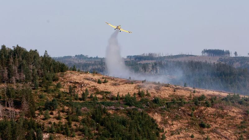 Auch ein Löschflugzeug hilft dabei, das Feuer bei Ilsenburg unter Kontrolle zu bringen.