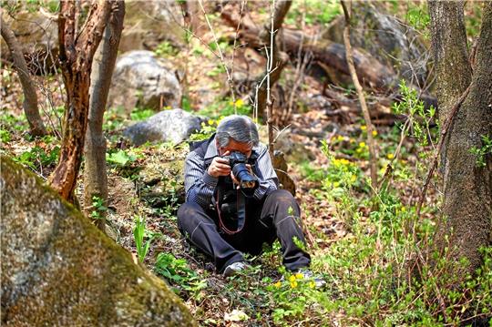 Auch eine Entdecker-Erklärung zum Naturwandel bekommen die Teilnehmer eines Fotokurses.  Symbolfoto: Pixabay