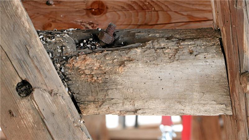 Werlaburgdorf: Millionenprojekt für maroden Kirchturm gestartet Auch für Laien zu erkennen: Das Holz im Turm ist geschädigt, auch dieser Balken muss ausgetauscht werden.
