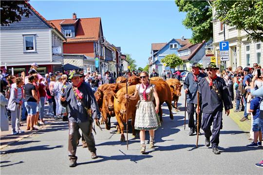 Auch für Veranstaltungen wie das St. Andreasberger Wiesenblütenhoffest steht Geld zur Verfügung. Foto: GZ-Archiv