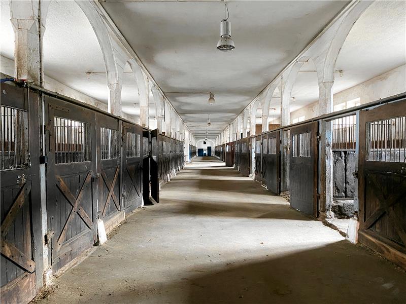 Was wird nun aus Bad Harzburgs Gestüt? Auch für den „Langen Stall“ mit seinen 36 Pferdeboxen haben die neuen Eigentümer schon Ideen. Fotos: Schlegel