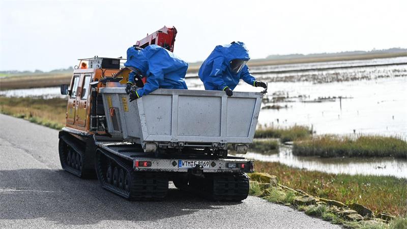 Möglicher Chemieunfall: Einsatzkräfte trainieren im Watt Auch geländefähige Kettenfahrzeuge kamen bei der Übung am Deich zum Einsatz.
