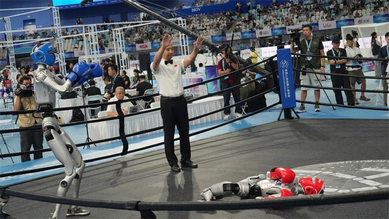 Auch humanoide Roboter können K.O. gehen.