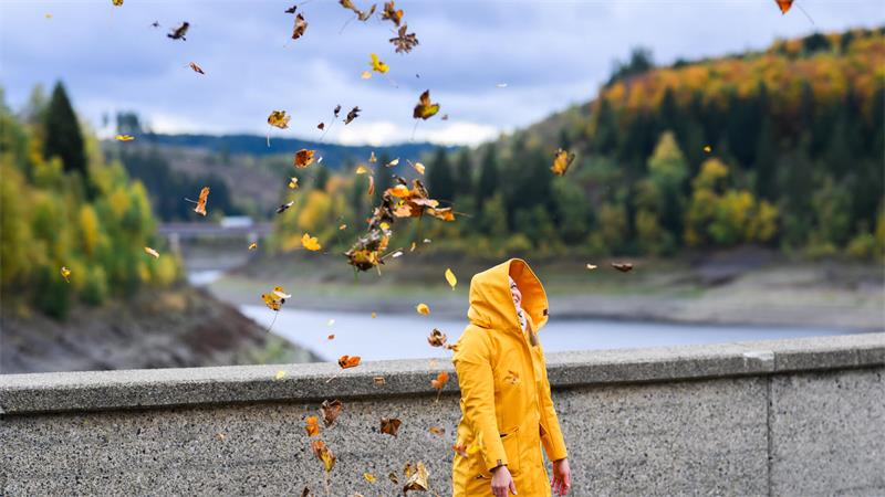 Eine Frau schaut an der Okertalsperre im Harz im Sturm fliegenden Blättern hinterher, die sie zuvor zur Belustigung ihres Sohnes in die Luft geworfen hatte.
