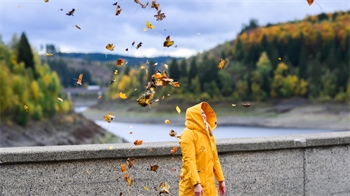 Eine Frau schaut an der Okertalsperre im Harz im Sturm fliegenden Blättern hinterher, die sie zuvor zur Belustigung ihres Sohnes in die Luft geworfen hatte.