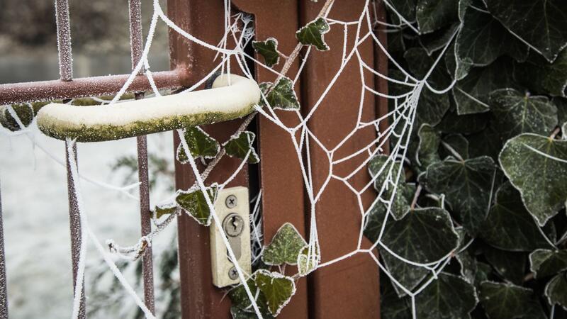 Auch im Winter gibt es genug zu tun, um den Garten in Schuss zu halten und sich auf die nächste Gartensaison vorzubereiten.