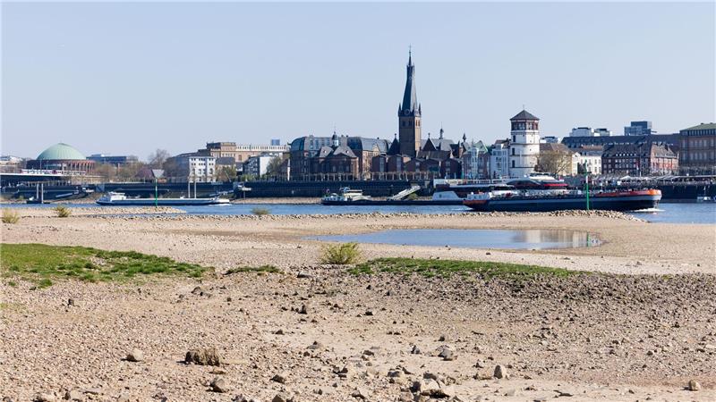 Trockenheit: Wie gravierend sind die Folgen für die Natur? Auch in Düsseldorf ist das Niedrigwasser des Rheins nicht zu übersehen. (Archivbild)
