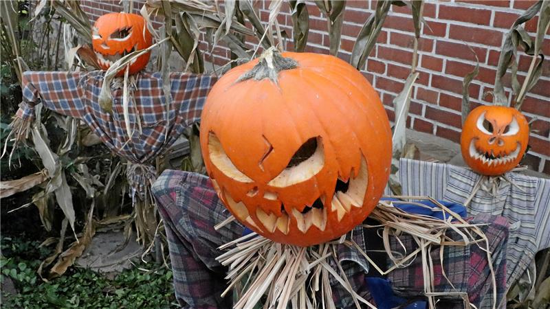 Auch klassische Kürbisfratzen gibt es in Rhüdens Zaininger Straße zu bewundern.