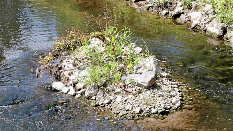 Auch kleine Inseln gibt es jetzt im Flusslauf. Sie dienen unter anderem der Strömungslenkung.