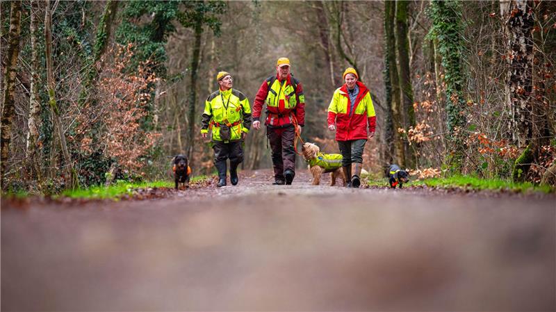 Auch kleinere Hunde wie Dackel kommen zum Einsatz. (Archivbild)