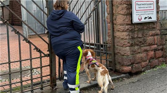 Auch mit Hilfe eines Hundes wurde der Junge gesucht.