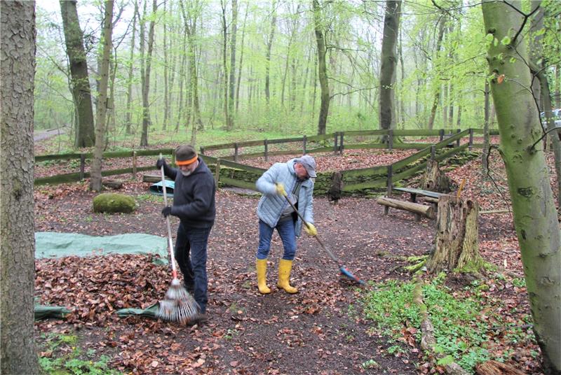 Auch reichlich Laubharken ist angesagt. Zudem muss ein trockener Baum abgesägt werden. Bald kann so, schön gerichtet, das Bestehen gefeiert werden. Foto: Hohaus