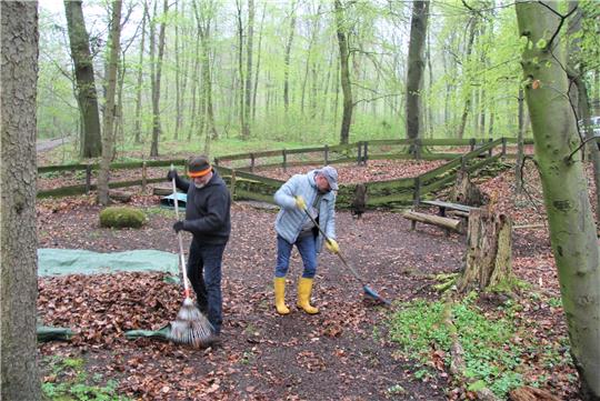 Auch reichlich Laubharken ist angesagt. Zudem muss ein trockener Baum abgesägt werden. Bald kann so, schön gerichtet, das Bestehen gefeiert werden. Foto: Hohaus