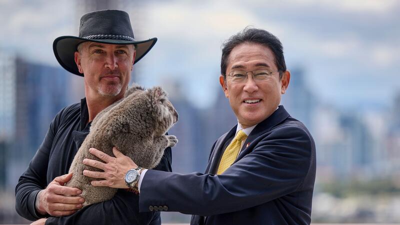 Koala-Knuddeln verboten: Welche Regeln gelten in Down Under? Auch viele Prominente, wie Japans Ministerpräsident Fumio Kishida, haben schon mit Koalas gekuschelt. (Archivbild)