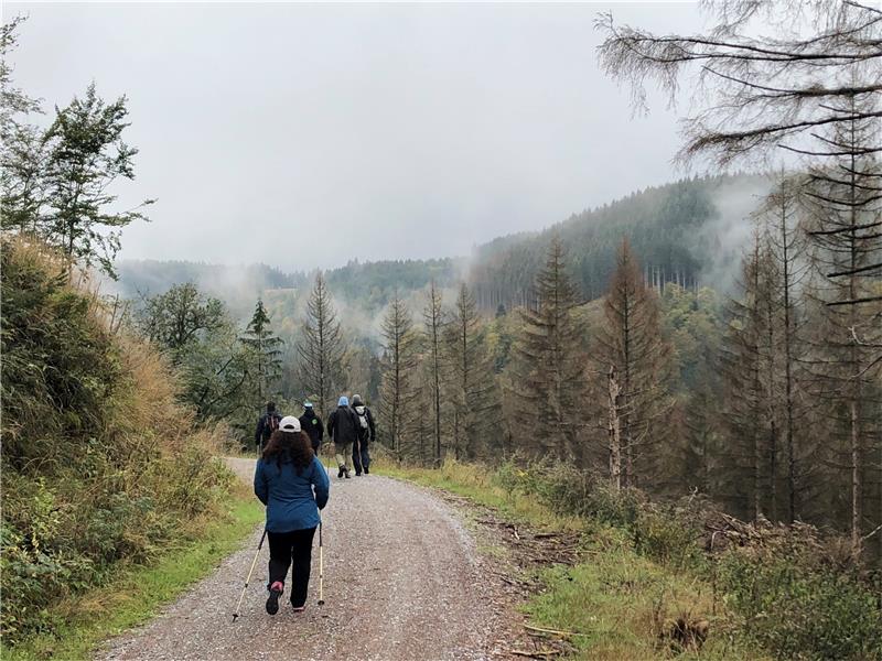 Auch wenn das Wetter mal nicht so gut ist. Die Wanderer sind gerne im Harz unterwegs, wie im Bild bei St. Andreasberg. Das unterstreicht auch die Auswertung des Buchungsportals „Booking.com“. Foto: Eggers