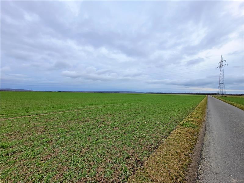 Bad Harzburger Energiepark-Idee weckt Nachahmer-Interesse Auf Flächen zwischen Harlingerode und Vienenburg, nördlich der Bundesstraße 6, wollen Landeigentümer Windräder und PV-Module errichten lassen. Foto: Exner